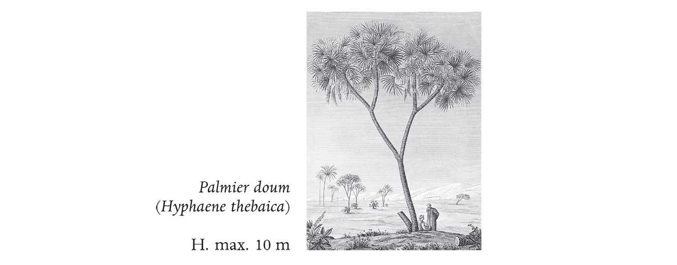 Image numérisée par l’École des Mines Paristech