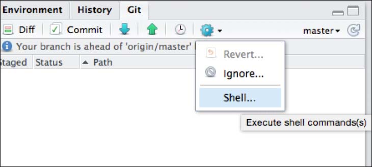 Using the shell from Rstudio