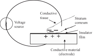 11014_007_fig_001.jpg