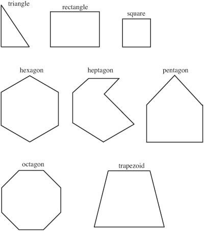 Polygons