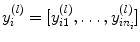 
$${y}_{i}^{(l)} = [{y}_{i1}^{(l)},\ldots,{y}_{i{n}_{i}}^{(l)}]$$
