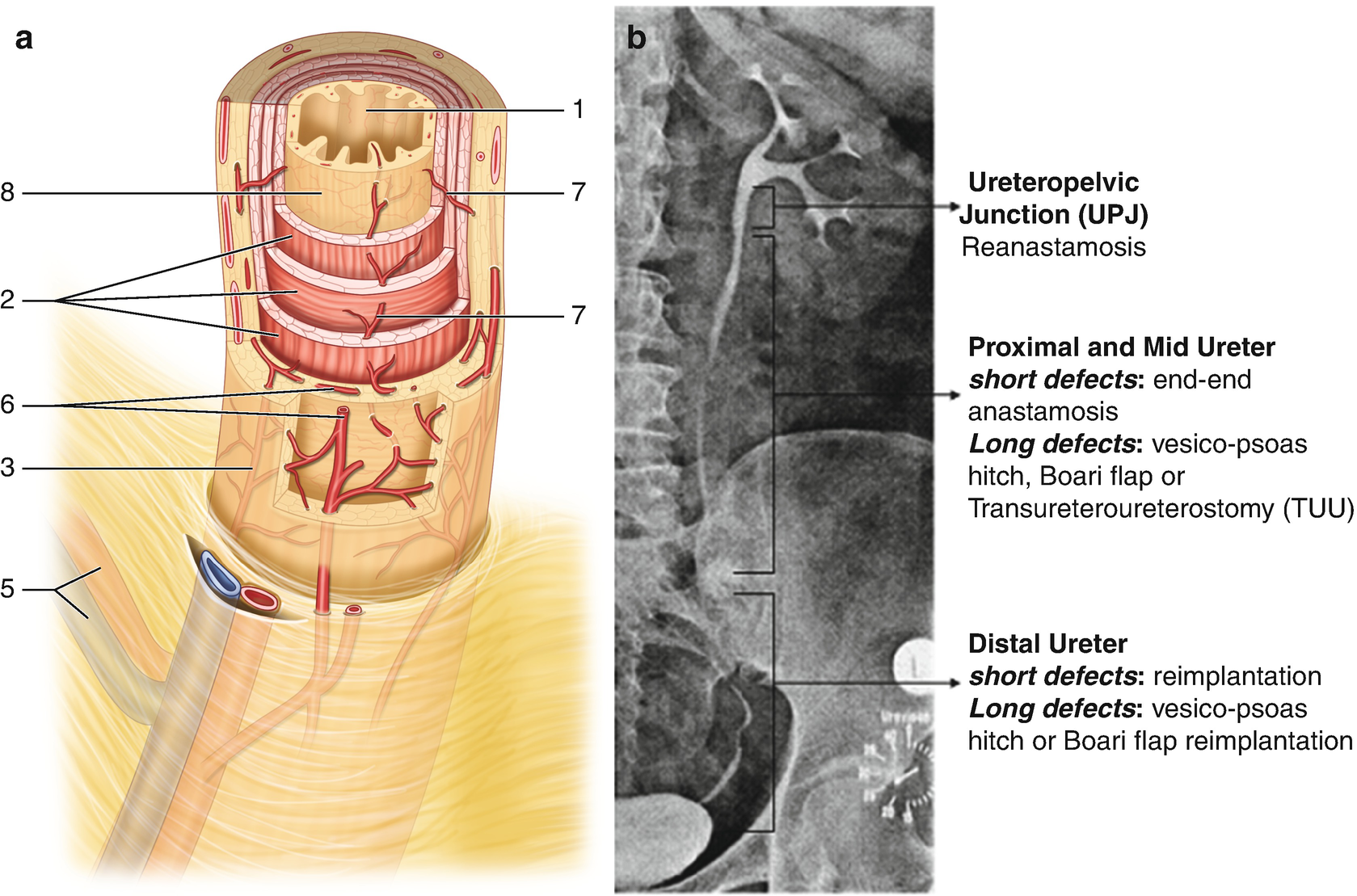 ../images/142736_2_En_15_Chapter/142736_2_En_15_Fig1_HTML.png