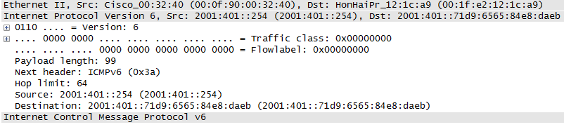 Global unicast packet