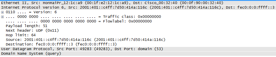 Site local unicast packet