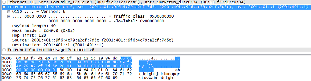 IPv6 packet header from Wireshark