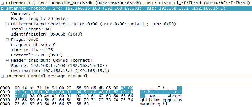 IP header from packet capture