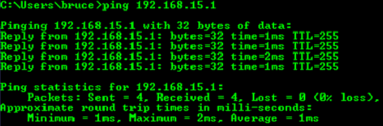 Ping command-line output