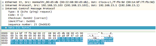 ICMP echo payload