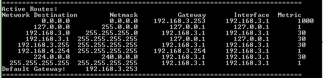 Host routing table with host-specific route