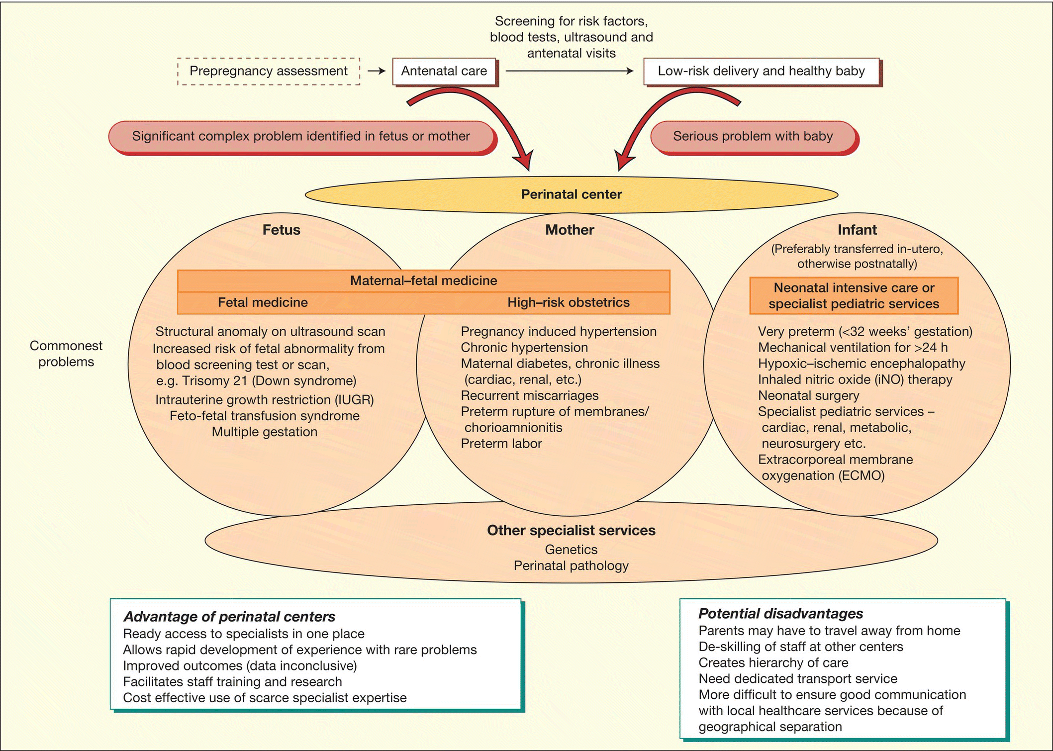 c3-fig-0001