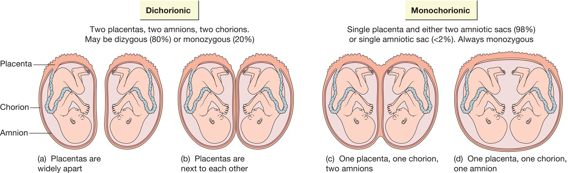 c7-fig-0002