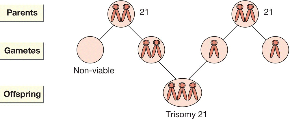 c9-fig-0002