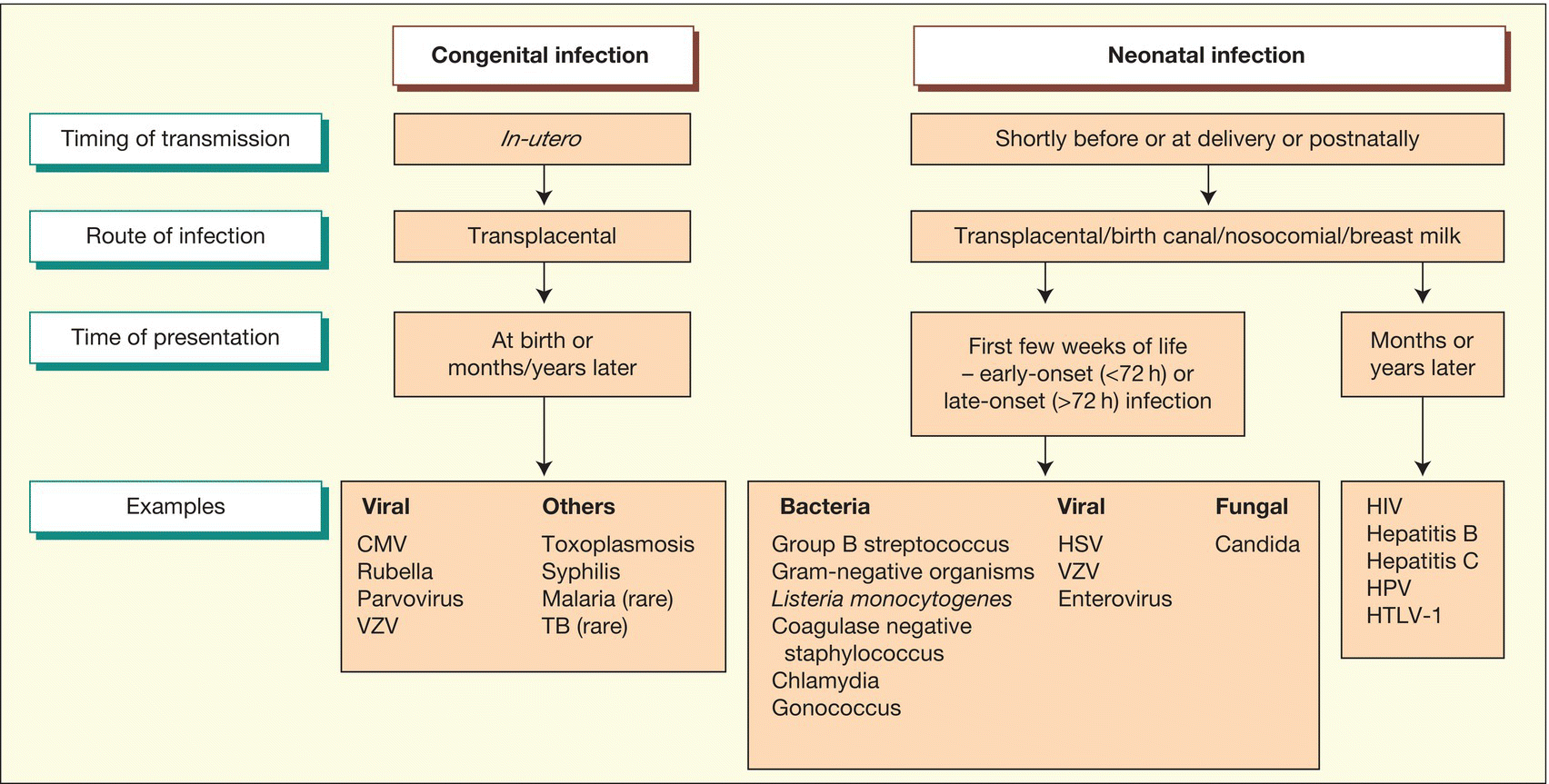 c11-fig-0001