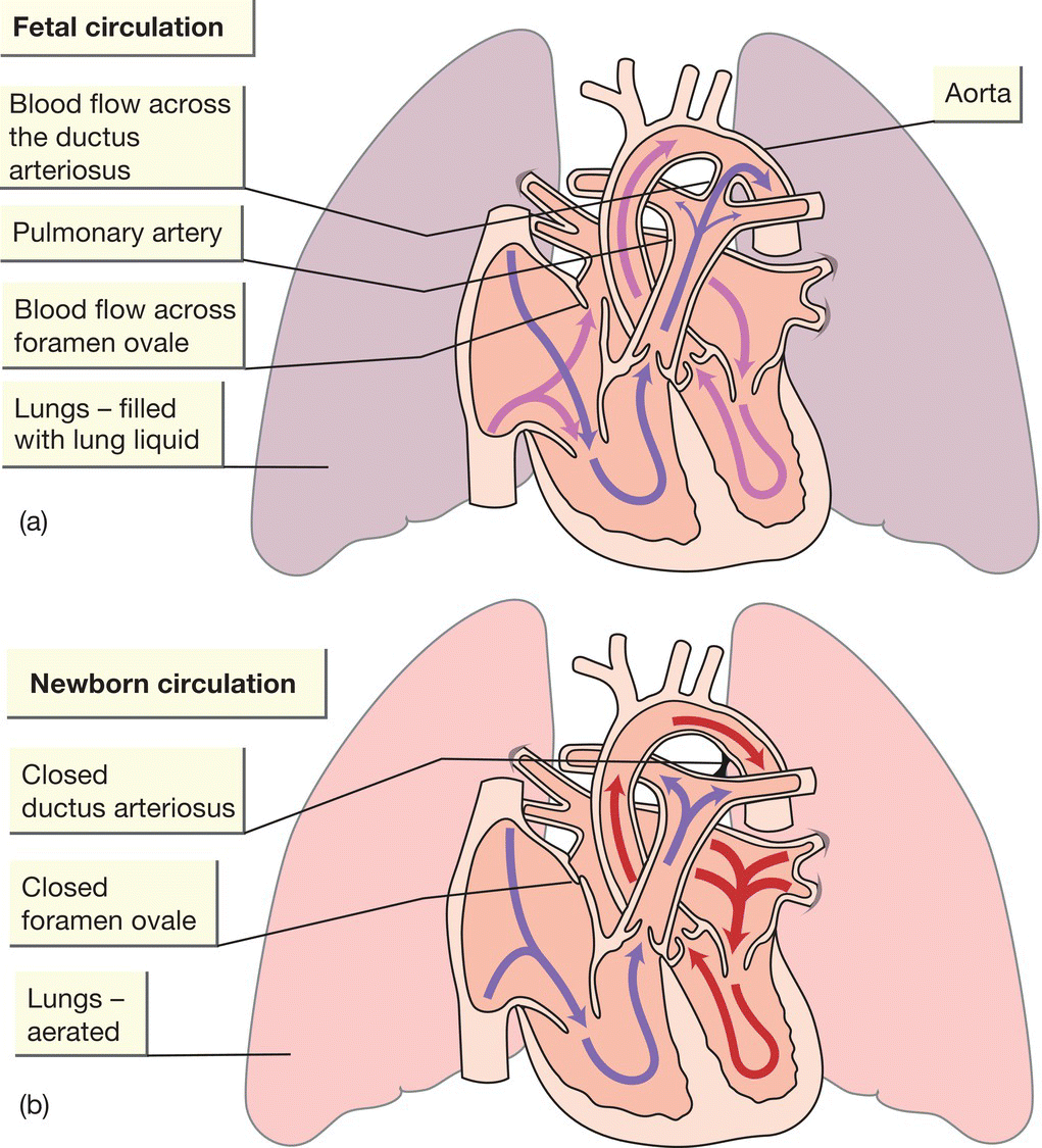 c12-fig-0001