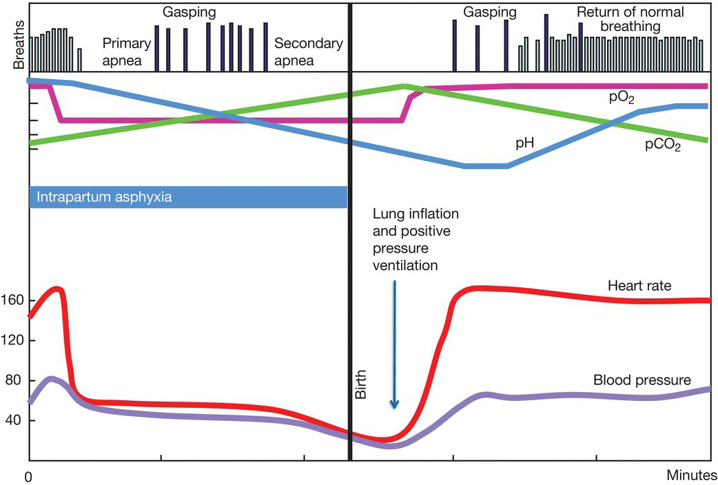 c12-fig-0002