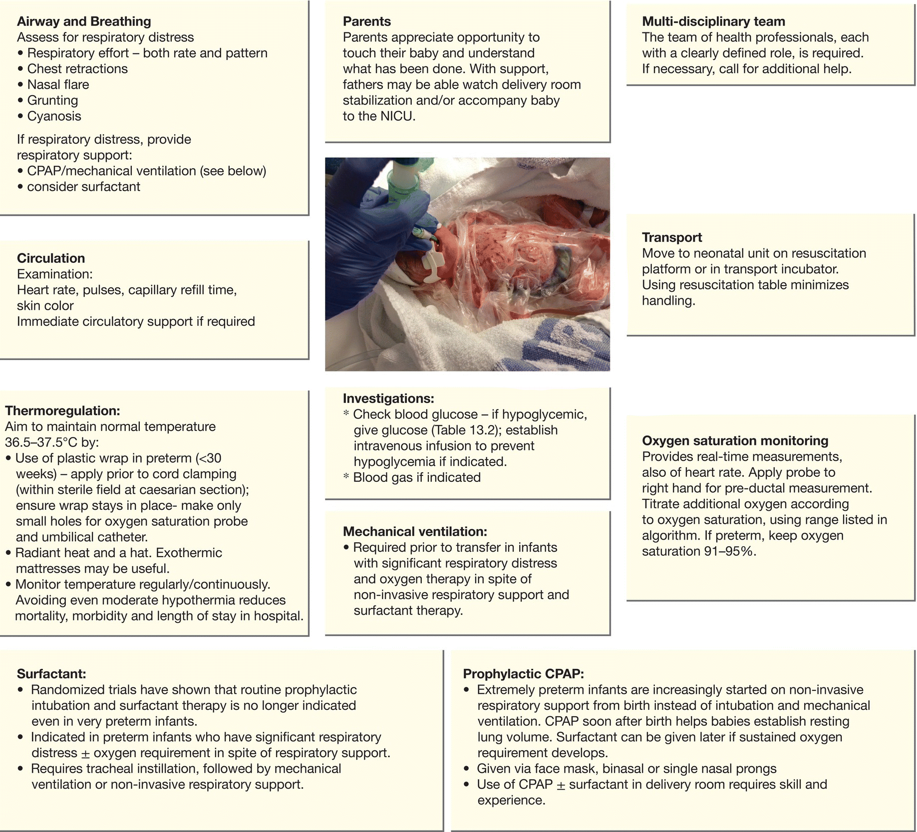 c13-fig-0009