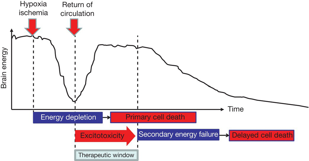 c14-fig-0002