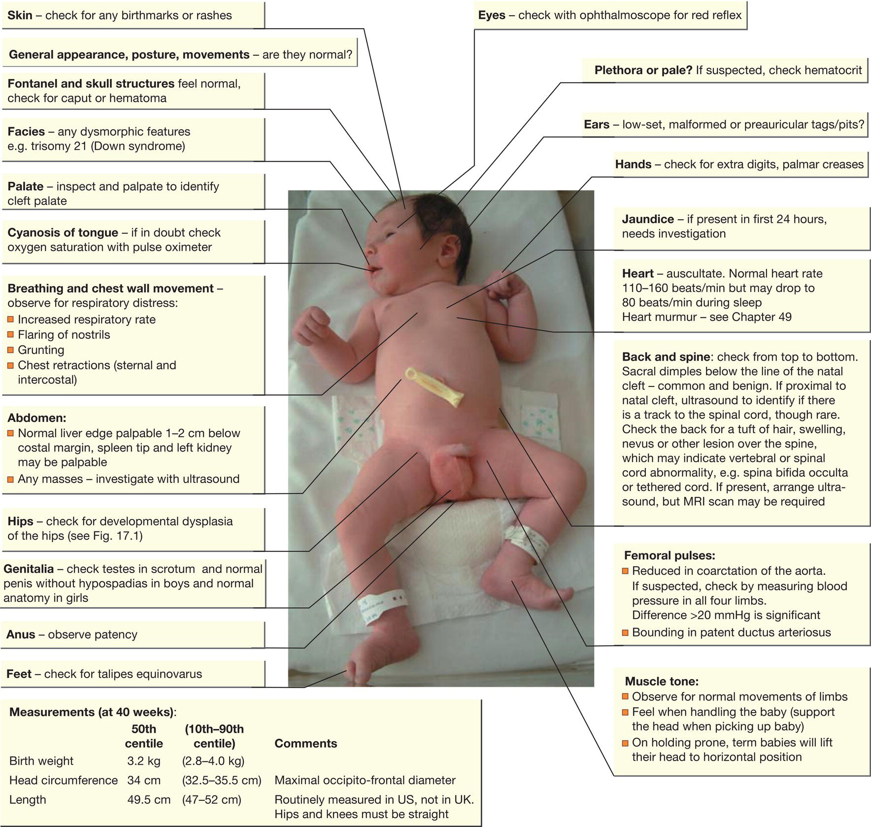 c17-fig-0003