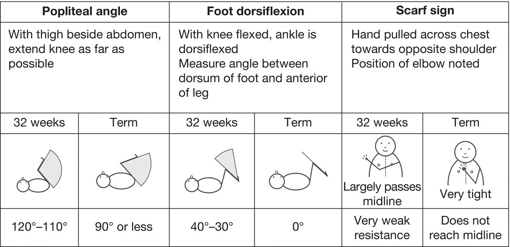 c18-fig-0002