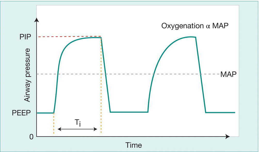 c26-fig-0005