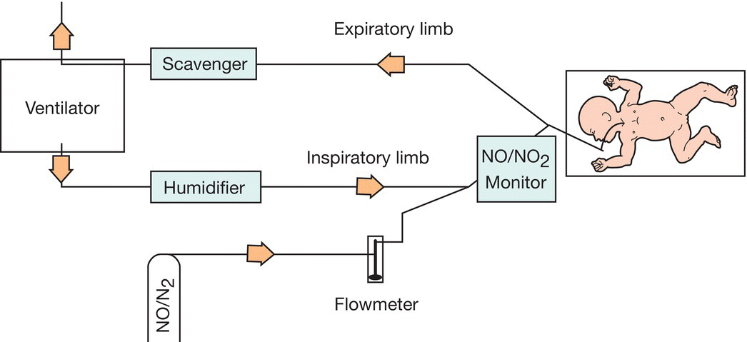 c26-fig-0012