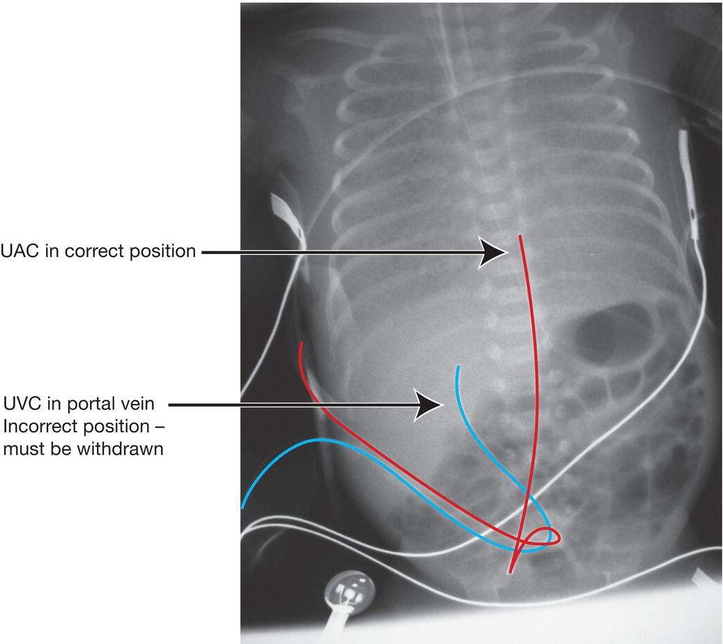 c66-fig-0004