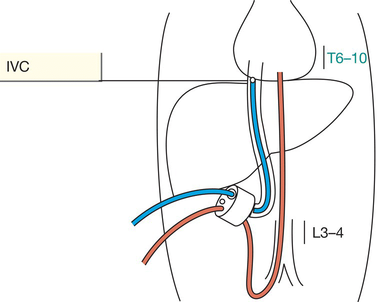 c77-fig-0003