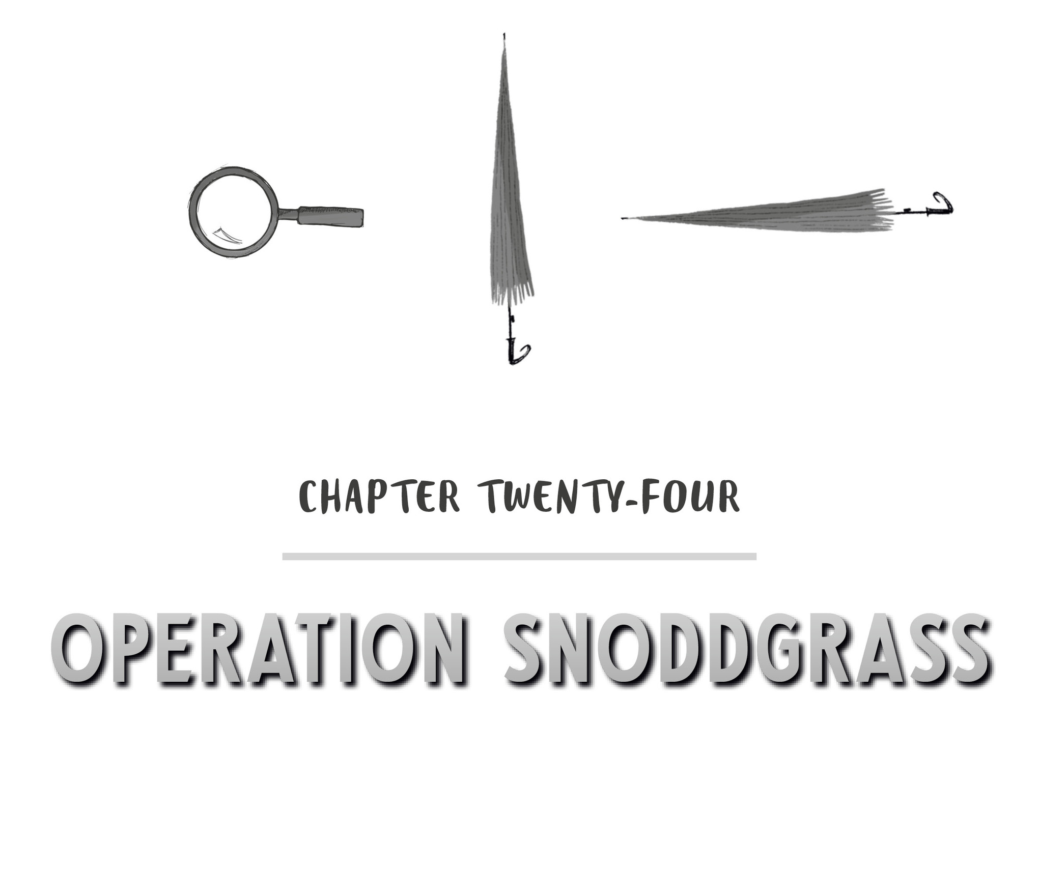 Chapter Twenty-Four Operation Snoddgrass