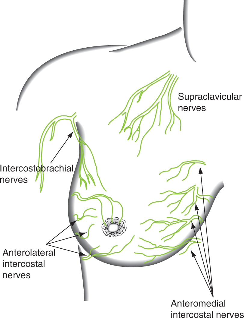 A978-1-84882-513-0_30_Fig2_HTML.jpg