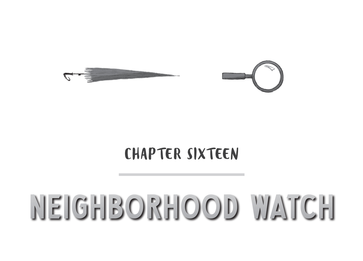 CHAPTER SIXTEEN - NEIGHBORHOOD WATCH