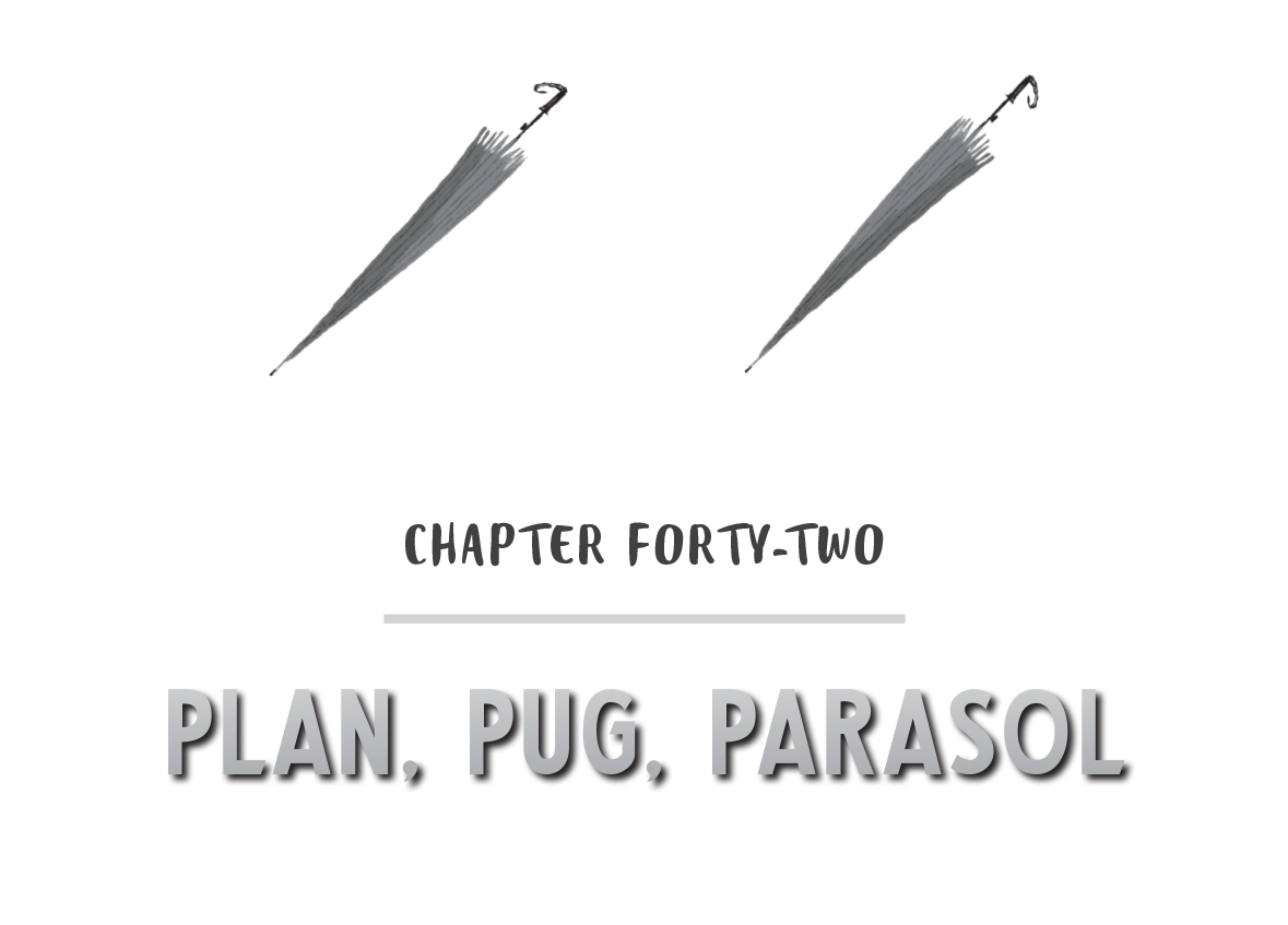 CHAPTER FORTY-TWO - PLAN, PUG, PARASOL