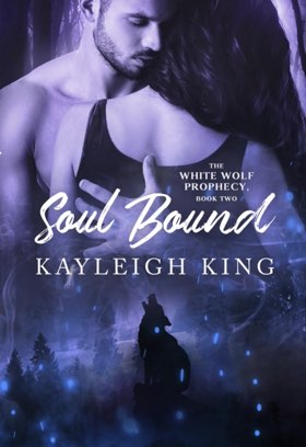 Soul bound cover