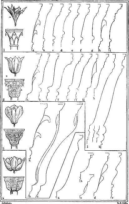 THE FOUR VENETIAN FLOWER ORDERS.