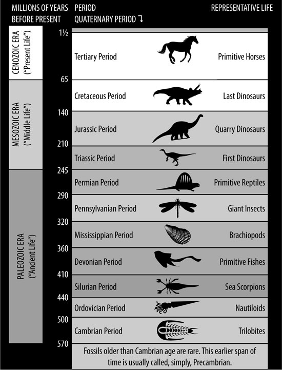 dino-chart