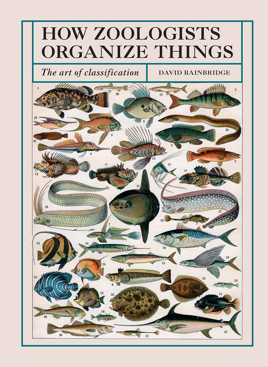 How Zoologists Organize Things