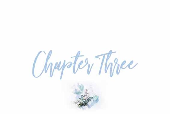 Chapter Three