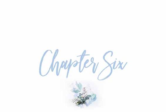 Chapter Six