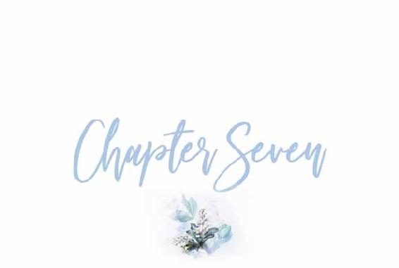 Chapter Seven