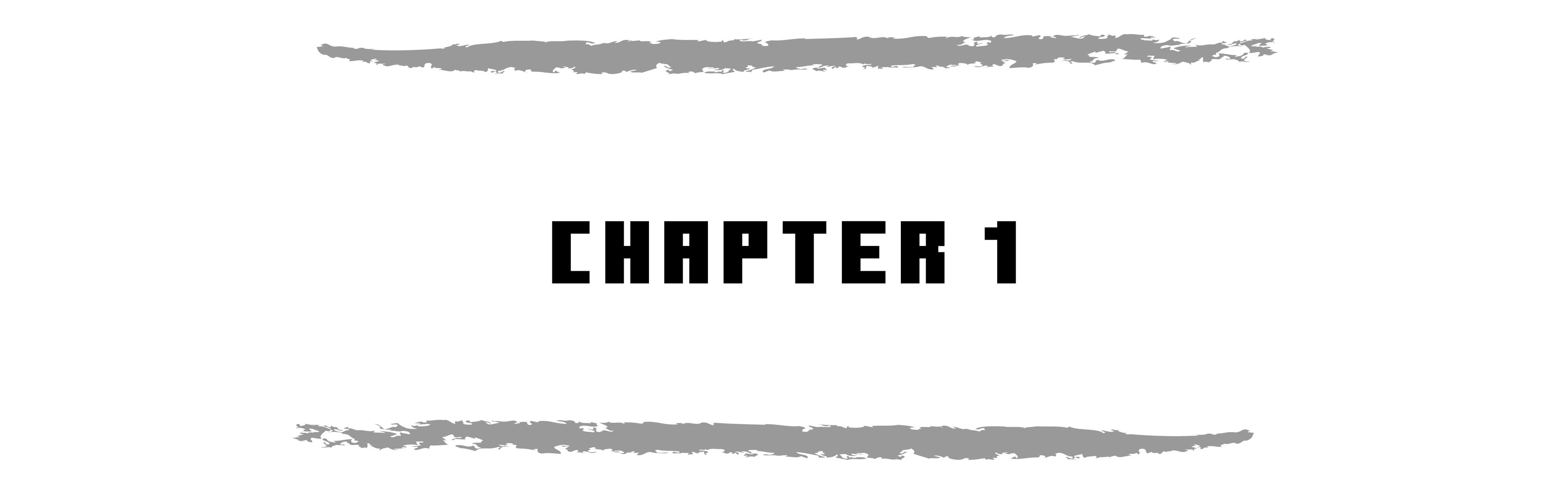 CHAPTER 1