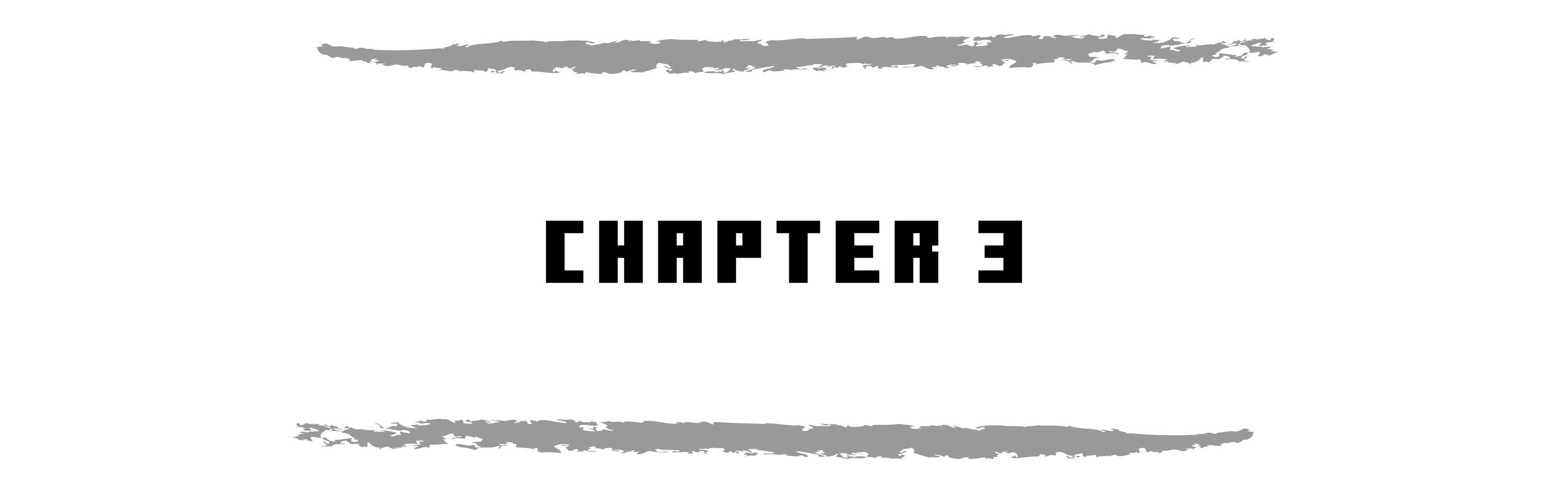 CHAPTER 3