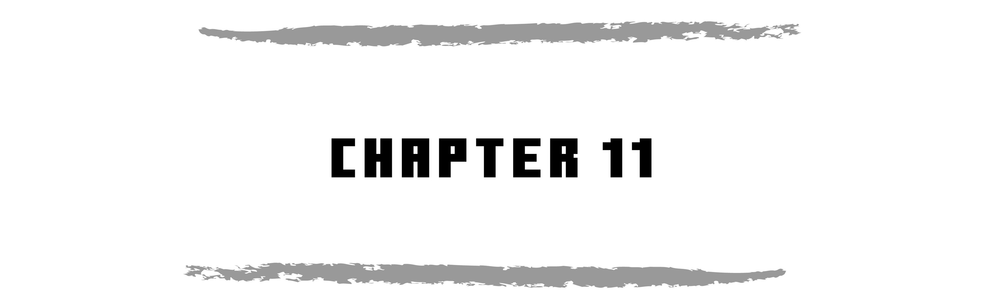 CHAPTER 11