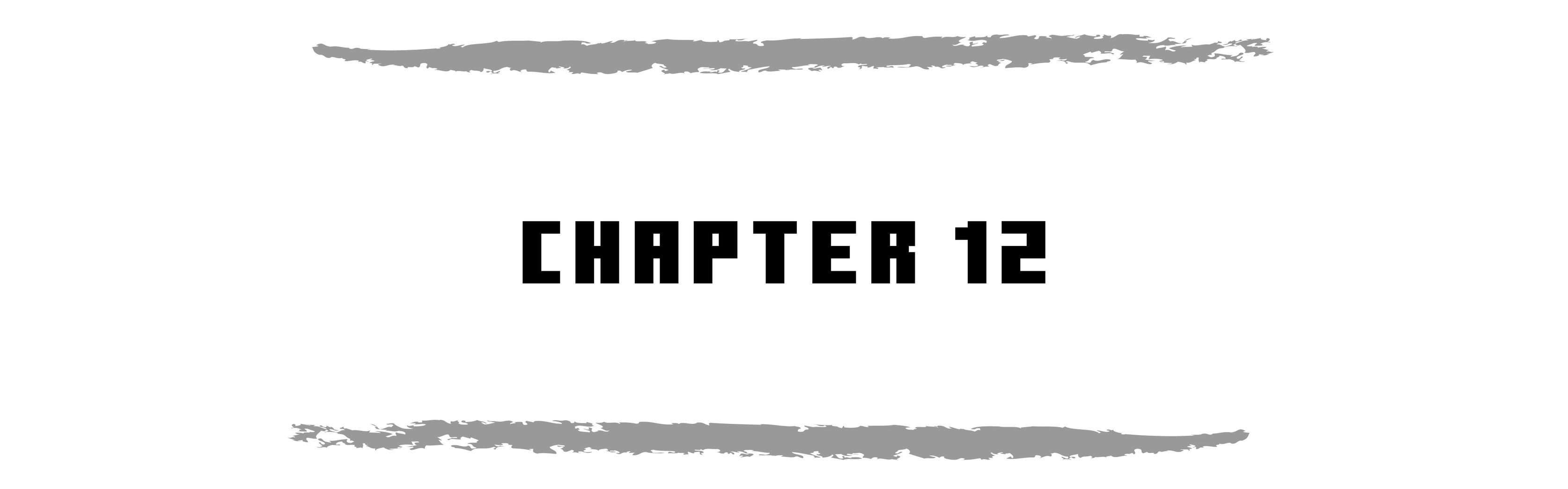 CHAPTER 12