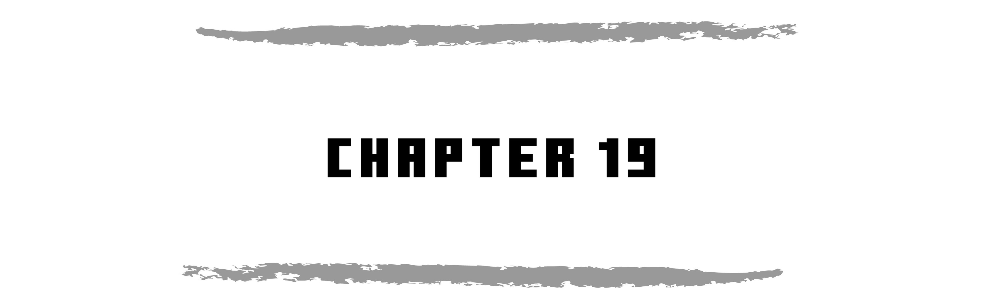 CHAPTER 19