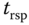 t Subscript rsp