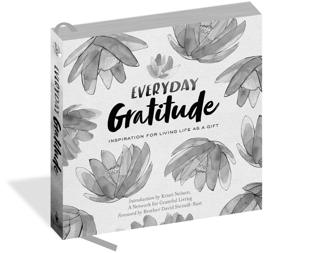 Everyday Gratidude book cover