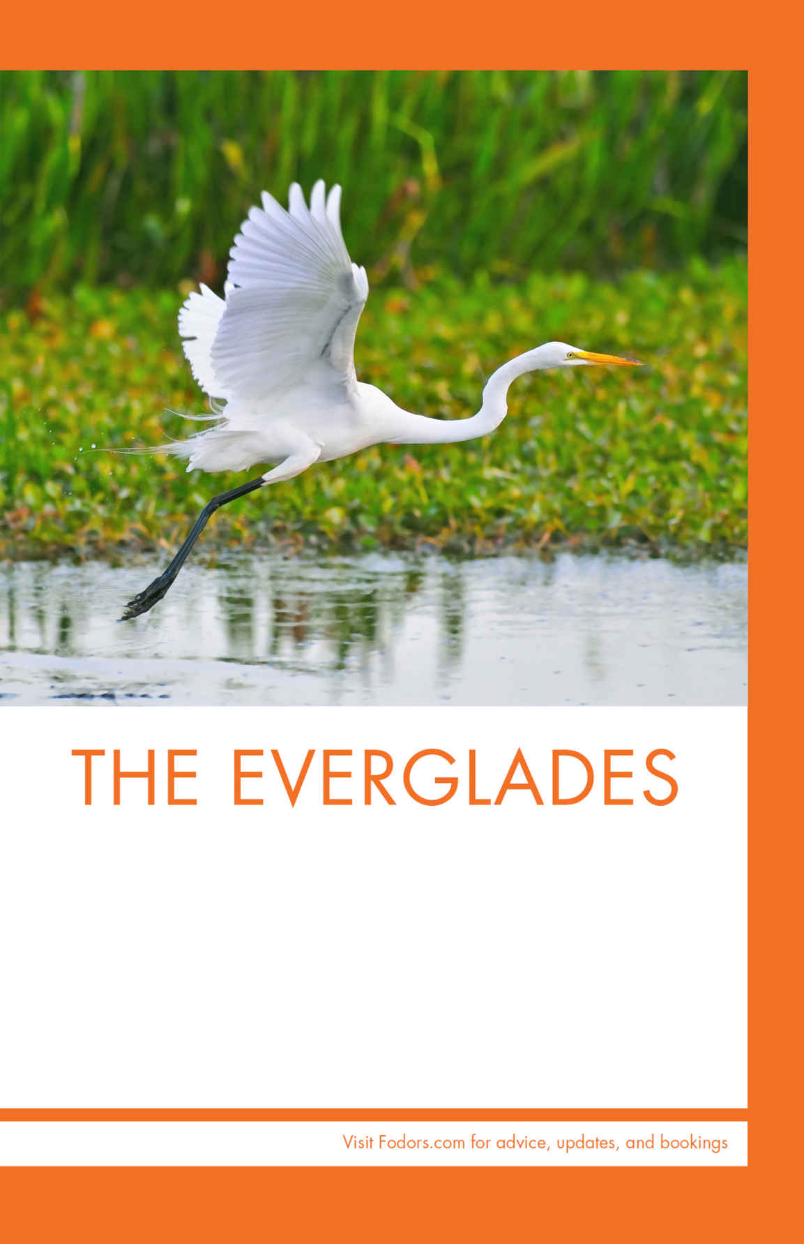 THE EVERGLADES