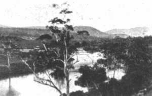 On Road to Salmon Ponds, Tasmania