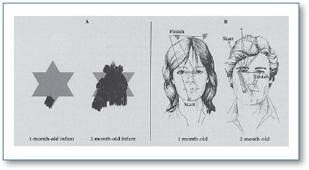 Figure 34