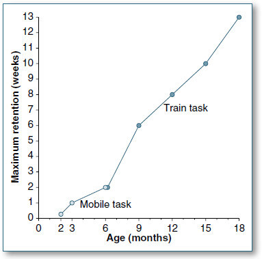 Figure 42