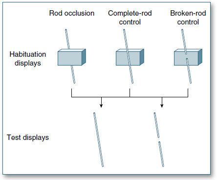 Figure 51